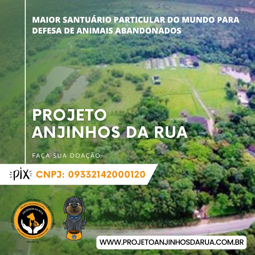 Anjinhos da Rua